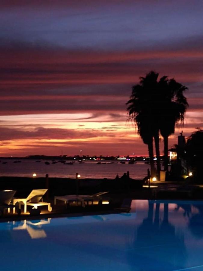 Porto Antigo - Charming & Peaceful Apartment Overlooking Pool And Sea Santa Maria Zewnętrze zdjęcie